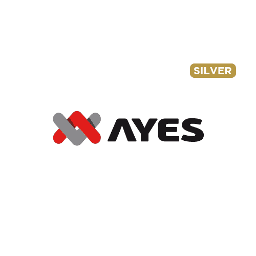 Ayes Çelik